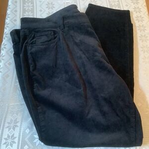 Loft Plus Women’s Size 24 Plus Straight Leg 5 Pocket Velvet Black